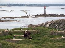 Cézembre island in front of Saint-Malo. © Philip Plisson / Plisson La Trinité / AA21604 - Photo Galleries - Lighthouse [35]