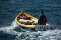 Pêcheur à Chausey. © Philip Plisson / Plisson La Trinité / AA21751 - Nos reportages photos - Barque