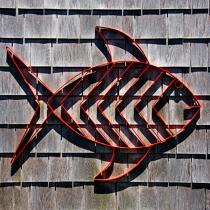 Red fish. © Philip Plisson / Plisson La Trinité / AA21897 - Photo Galleries - England