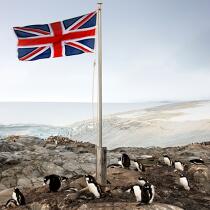 Port Lockroy in Antarctica. © Philip Plisson / Plisson La Trinité / AA21911 - Photo Galleries - Papou penguin
