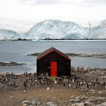 Port Lockroy en Antarctique. © Philip Plisson / Plisson La Trinité / AA21912 - Nos reportages photos - Port Lockroy
