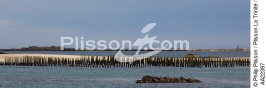 Chausey. - © Philip Plisson / Plisson La Trinité / AA22397 - Nos reportages photos - Manche [La]