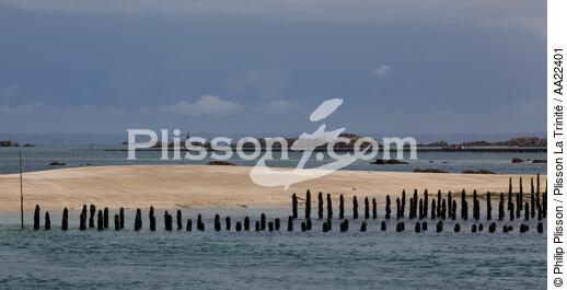 Chausey. - © Philip Plisson / Plisson La Trinité / AA22401 - Nos reportages photos - Manche [La]