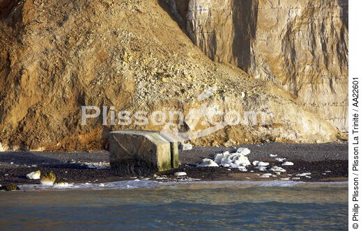 Heron coast near Dieppe. - © Philip Plisson / Plisson La Trinité / AA22601 - Photo Galleries - Dieppe