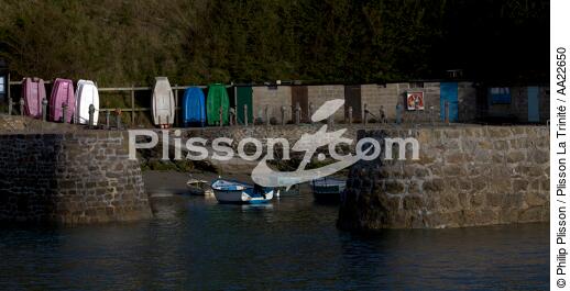 Port Racine dans la Manche. - © Philip Plisson / Plisson La Trinité / AA22650 - Nos reportages photos - Barque