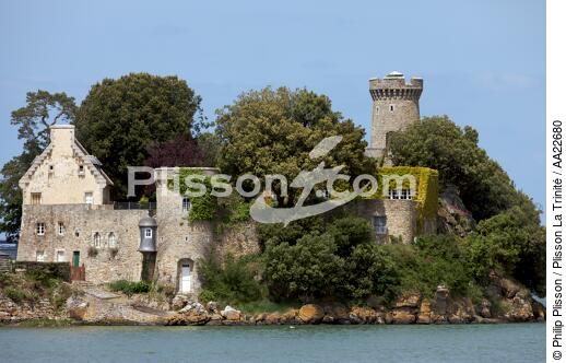 Le château de Péhou à Plouër-sur-Rance - © Philip Plisson / Plisson La Trinité / AA22680 - Nos reportages photos - Rance [La]