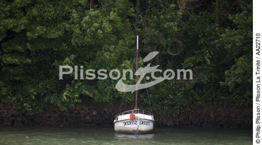 Sur les bord de Rance - © Philip Plisson / Plisson La Trinité / AA22710 - Nos reportages photos - Rance [La]