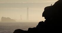 Le phare de l'île Vierge © Philip Plisson / Plisson La Trinité / AA22819 - Nos reportages photos - Faune et Flore