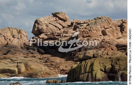 Ploumanac'h sur la côte de granit rose. - © Philip Plisson / Plisson La Trinité / AA23401 - Nos reportages photos - Ville [22]