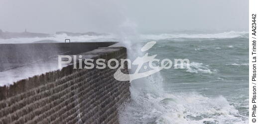 Coup de vent sur Port-Maria à Quiberon - © Philip Plisson / Plisson La Trinité / AA23442 - Nos reportages photos - Tempêtes