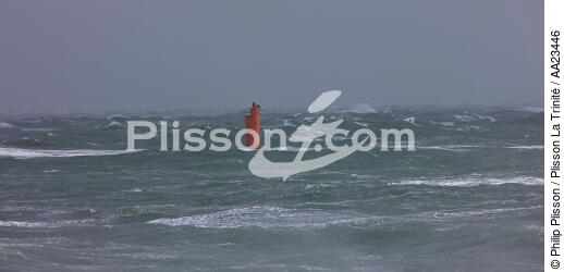 Coup de vent sur Port-Maria à Quiberon - © Philip Plisson / Plisson La Trinité / AA23446 - Nos reportages photos - Gros temps