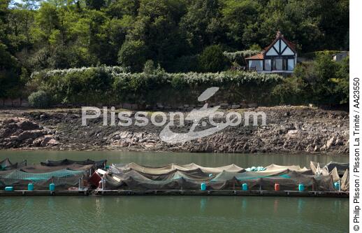 Sur la rivière du Jaudy. - © Philip Plisson / Plisson La Trinité / AA23550 - Nos reportages photos - Côtes d'Armor