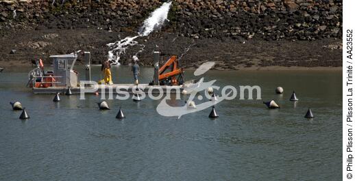 Sur la rivière du Jaudy. - © Philip Plisson / Plisson La Trinité / AA23552 - Nos reportages photos - L'ostréiculture