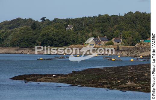 On the Jaudy river. - © Philip Plisson / Plisson La Trinité / AA23567 - Photo Galleries - From Paimpol to Sept-Iles