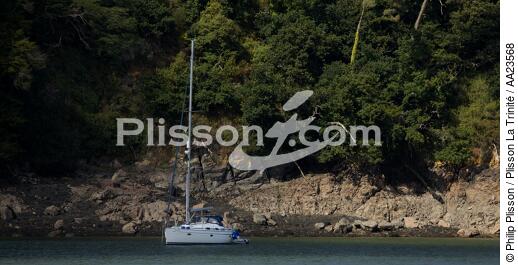 On the Jaudy river. - © Philip Plisson / Plisson La Trinité / AA23568 - Photo Galleries - From Paimpol to Sept-Iles