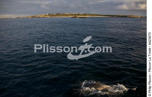 Ile de Molène - © Philip Plisson / Plisson La Trinité / AA23670 - Nos reportages photos - Ouessant et l'archipel de Molène