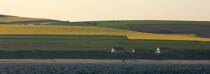 Cap Gris-Nez © Philip Plisson / Plisson La Trinité / AA23853 - Nos reportages photos - De Dunkerque à la Baie de Somme