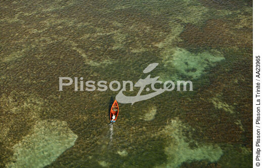 Martinique. - © Philip Plisson / Plisson La Trinité / AA23965 - Photo Galleries - Rowing boat