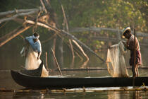 Pêcheur près de Cochin. © Philip Plisson / Plisson La Trinité / AA23971 - Nos reportages photos - Inde