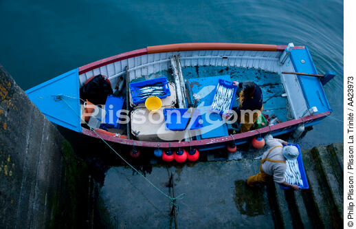 Unloading fish at Newlyn in Cornwall. - © Philip Plisson / Plisson La Trinité / AA23973 - Photo Galleries - Cornwall