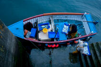 Déchargement du poisson à Newlyn en Cornouailles. © Philip Plisson / Plisson La Trinité / AA23973 - Nos reportages photos - Ville [Angleterre]