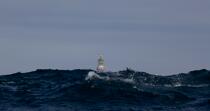 Créac'h lighthouse on Ouessant © Philip Plisson / Plisson La Trinité / AA24327 - Photo Galleries - Pern [The headland of]