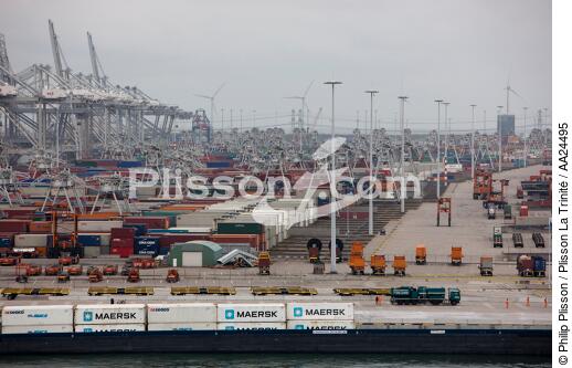 Sur le port de Rotterdam - © Philip Plisson / Plisson La Trinité / AA24495 - Nos reportages photos - Porte-conteneurs