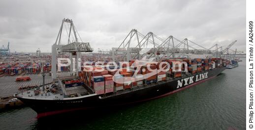 In the port of Rotterdam - © Philip Plisson / Plisson La Trinité / AA24499 - Photo Galleries - Containership