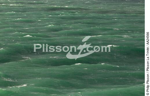 Mer d'iroise - © Philip Plisson / Plisson La Trinité / AA24566 - Nos reportages photos - Mer d'Iroise