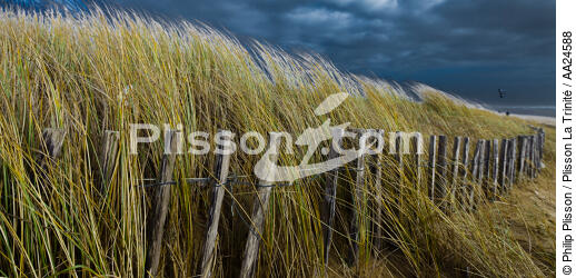 Les dunes d'Erdeven. - © Philip Plisson / Plisson La Trinité / AA24588 - Nos reportages photos - Ciel
