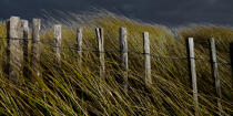 The dunes Erdeven. © Philip Plisson / Plisson La Trinité / AA24589 - Photo Galleries - Erdeven