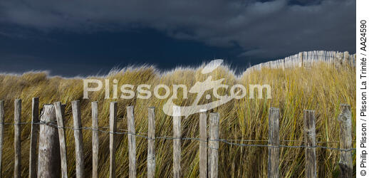 Les dunes d'Erdeven. - © Philip Plisson / Plisson La Trinité / AA24590 - Nos reportages photos - Dune
