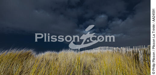 The dunes Erdeven. - © Philip Plisson / Plisson La Trinité / AA24591 - Photo Galleries - Ganivelle