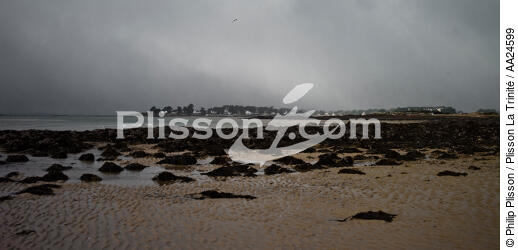 La plage de Kervilen à la Trinité sur mer - © Philip Plisson / Plisson La Trinité / AA24599 - Nos reportages photos - Ciel