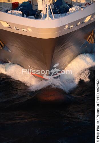 Le Boréal - © Philip Plisson / Plisson La Trinité / AA24630 - Nos reportages photos - Elément d'un bateau