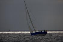 Sailing boat in the Bay of Concarneau. © Philip Plisson / Plisson La Trinité / AA24763 - Photo Galleries - From Bénodet to Etel