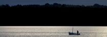 canot en baie de Concarneau. © Philip Plisson / Plisson La Trinité / AA24765 - Nos reportages photos - De Bénodet à Etel