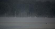 Brume sur l'Odet © Philip Plisson / Plisson La Trinité / AA24792 - Nos reportages photos - De Bénodet à Etel