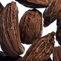 Fève de cacao. © Philip Plisson / Plisson La Trinité / AA24837 - Nos reportages photos - Fève de cacao