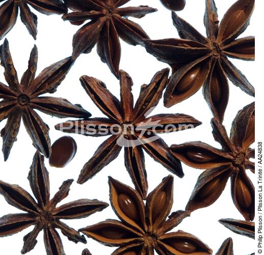 Star anise - © Philip Plisson / Plisson La Trinité / AA24838 - Photo Galleries - Flora
