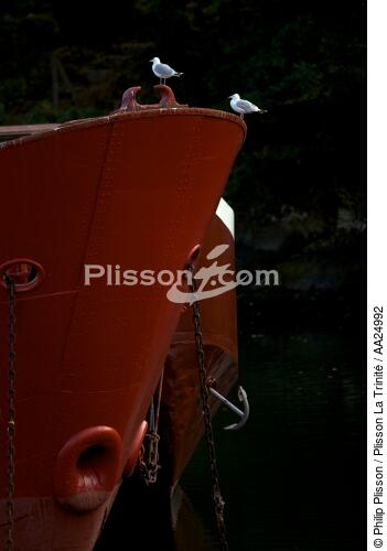 Port-Rhu in Douarnenez. - © Philip Plisson / Plisson La Trinité / AA24992 - Photo Galleries - Bow