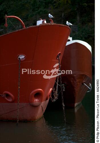 Port-Rhu in Douarnenez. - © Philip Plisson / Plisson La Trinité / AA24993 - Photo Galleries - Bow