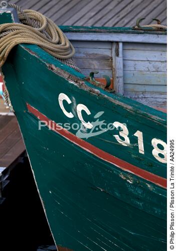 Port-Rhu à Douarnenez. - © Philip Plisson / Plisson La Trinité / AA24995 - Nos reportages photos - Elément d'un bateau