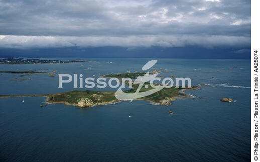 L'île d'Er à l'entrée du Jaudy. - © Philip Plisson / Plisson La Trinité / AA25074 - Nos reportages photos - Er