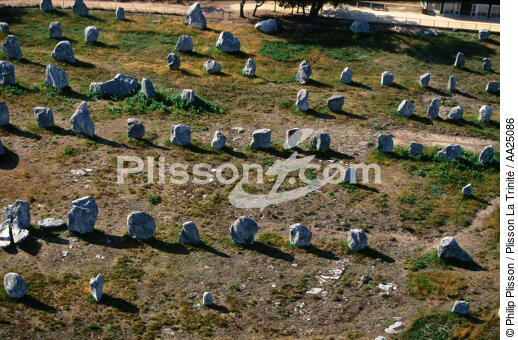 The Carnac stones. - © Philip Plisson / Plisson La Trinité / AA25086 - Photo Galleries - Standing stone