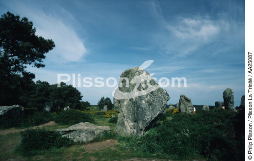The Carnac stones. - © Philip Plisson / Plisson La Trinité / AA25087 - Photo Galleries - Megalith