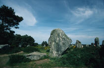 The Carnac stones. © Philip Plisson / Plisson La Trinité / AA25087 - Photo Galleries - Standing stone