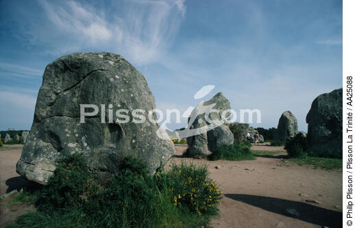 The Carnac stones. - © Philip Plisson / Plisson La Trinité / AA25088 - Photo Galleries - Megalith