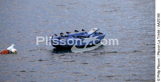 Tournepierre sur une barque. - © Philip Plisson / Plisson La Trinité / AA25166 - Nos reportages photos - Barque