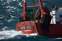 Retour de pêche au Guilvinec. © Philip Plisson / Plisson La Trinité / AA25221 - Nos reportages photos - Guilvinec [Le]